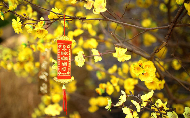 Thuê Bảo Vệ Tết Cần Chú Ý Những Điều Gì ?